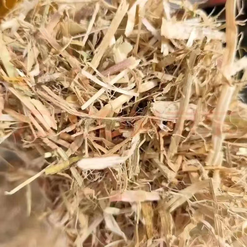玉米秸秆草料